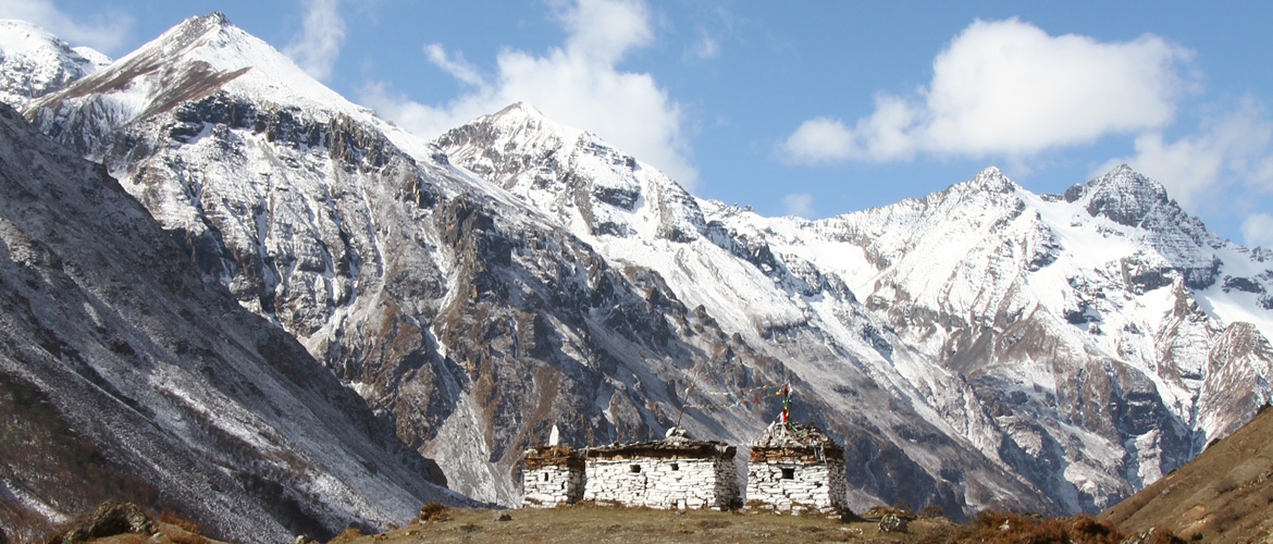 Jomolhari Trek | Bhutan Crane Valley Tour and Treks